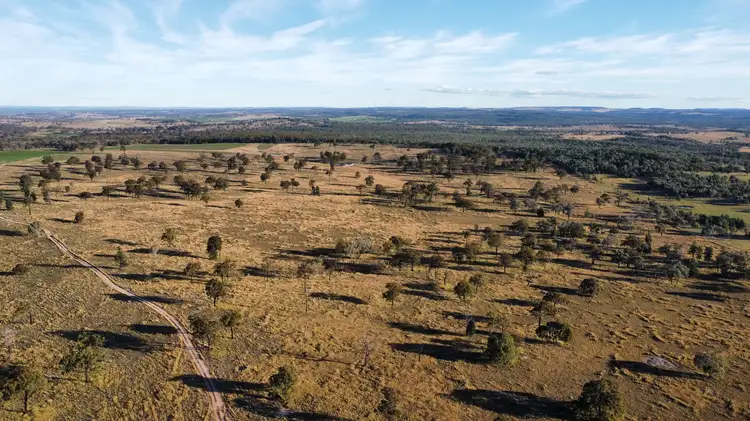 Sixth view of Homely rural property listing, 'Box Flat' Graman Road, Inverell NSW 2360
