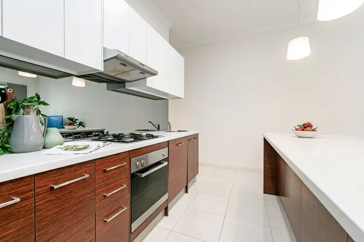 19 Clyde Road, Lightsview SA 5085