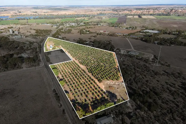 Seventh view of Homely house listing, 820 Woolshed Road, Mypolonga SA 5254