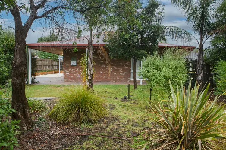 Second view of Homely house listing, 11 Cuneata Close, Langwarrin VIC 3910