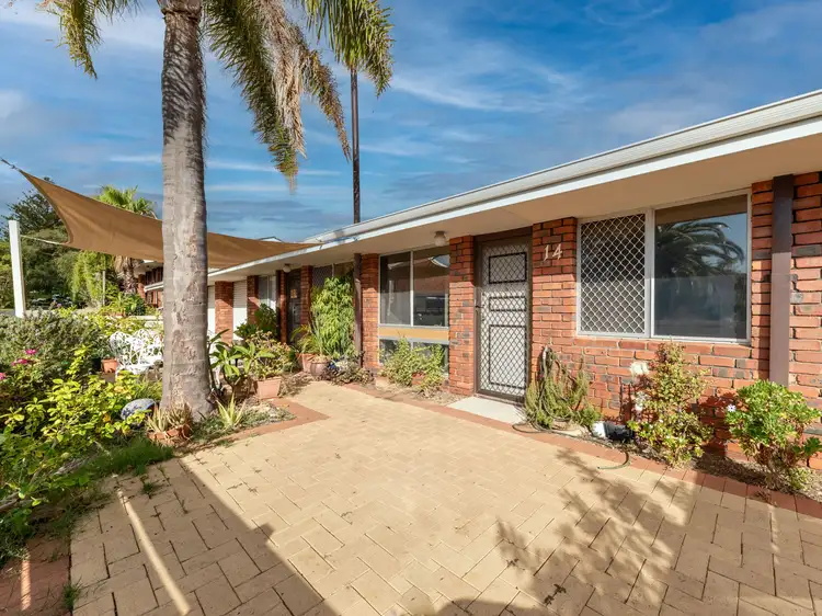 Main view of Homely villa listing, 14/6 Puntie Crescent, Maylands WA 6051