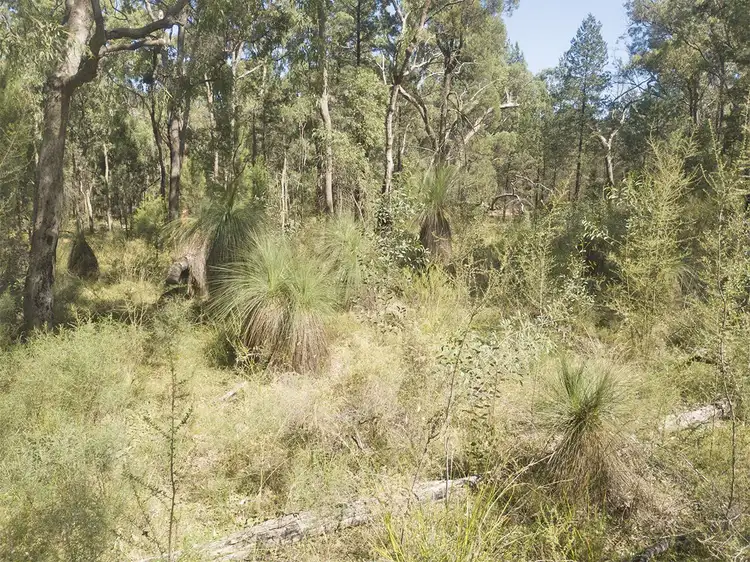 Third view of Homely rural property listing, 1967 NEWELL Highway, Coonabarabran NSW 2357