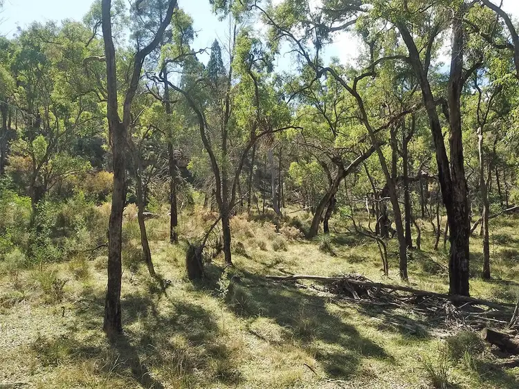 Fourth view of Homely rural property listing, 1967 NEWELL Highway, Coonabarabran NSW 2357