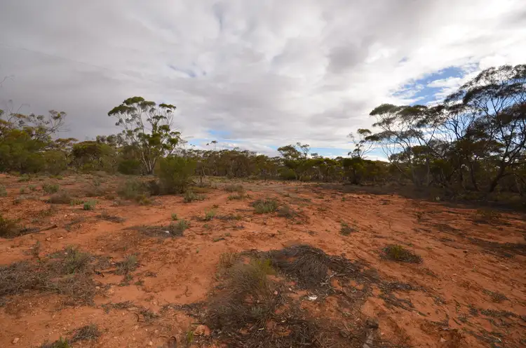 CA 17 Robinvale-Sea Lake Road, Annuello VIC 3549