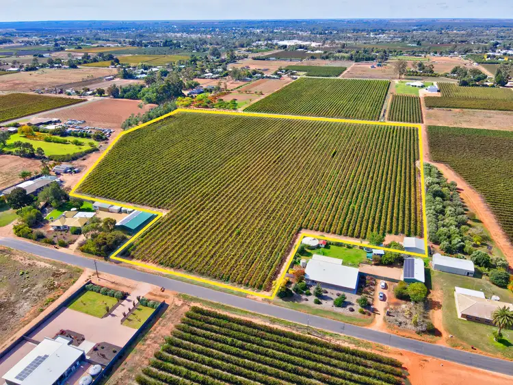 Lot 24 Tarcoola Street, Renmark SA 5341