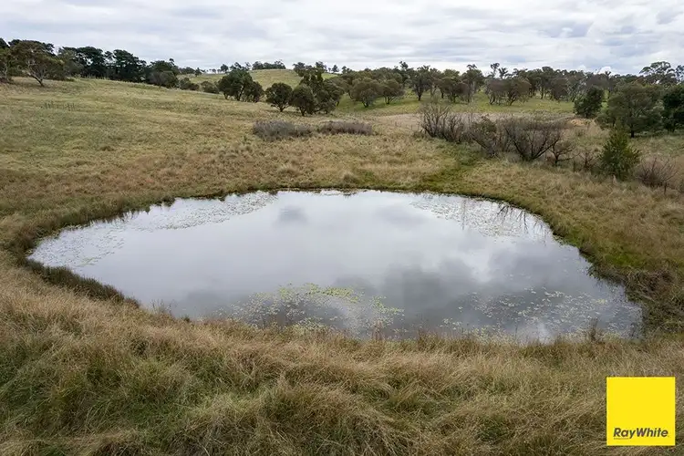 Seventh view of Homely house listing, 2049 Bungendore Road, Tarago NSW 2580