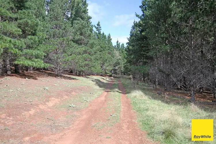 Third view of Homely land listing, Lots 6-7 - part 757 Caddigat Road, Dry Plain NSW 2630