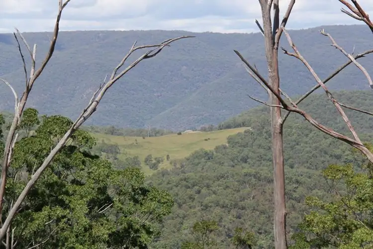 Fifth view of Homely rural property listing, 1565 Billarimba Road, Tenterfield NSW 2372