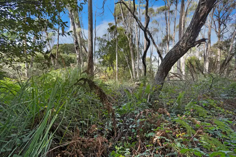 Fourth view of Homely land listing, LOT 3, 1247 Bridgenorth Road, Rosevale TAS 7292
