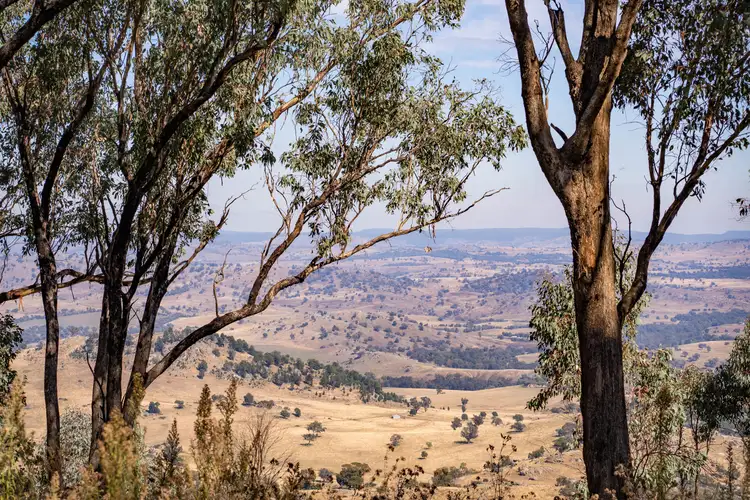 Main view of Homely rural property listing, 140 Blue Mantle Road, Wyangala NSW 2808