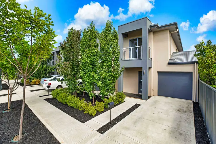 Second view of Homely house listing, 16 Walter Avenue, Mitchell Park SA 5043