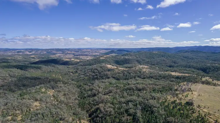 Seventh view of Homely rural property listing, 4970 Bruxner Way, Mole River NSW 2372