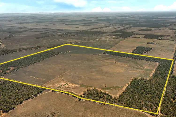 Main view of Homely rural property listing, lot 137 Mallee Road, Brownlow SA 5374