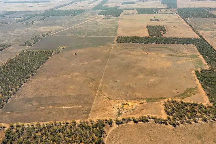 Second view of Homely rural property listing, lot 137 Mallee Road, Brownlow SA 5374