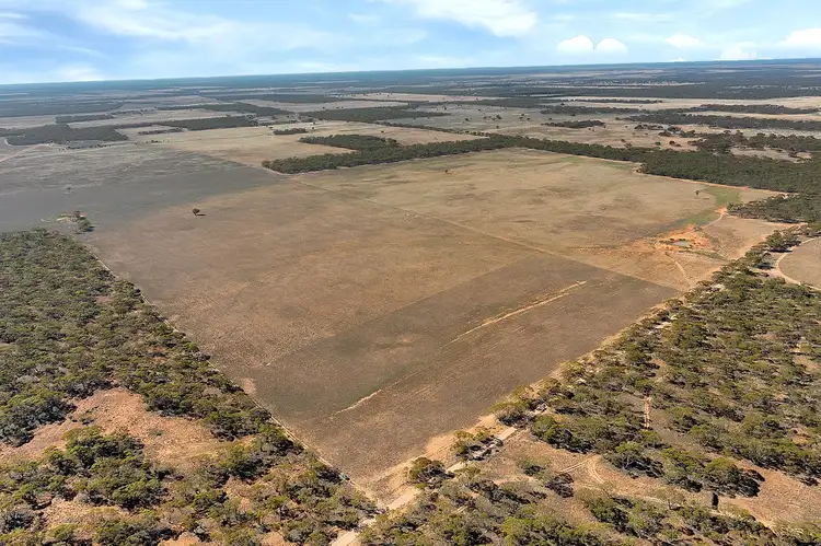 Third view of Homely rural property listing, lot 137 Mallee Road, Brownlow SA 5374