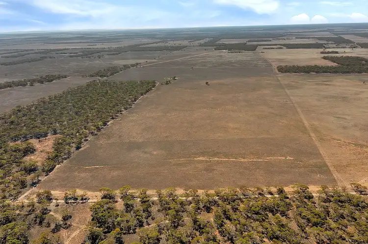 Fourth view of Homely rural property listing, lot 137 Mallee Road, Brownlow SA 5374
