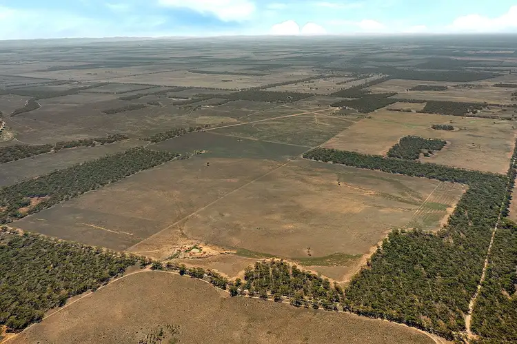Sixth view of Homely rural property listing, lot 137 Mallee Road, Brownlow SA 5374