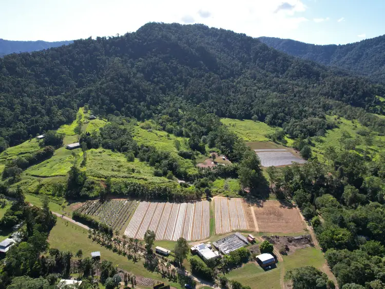 33 Brodies Road, Mount Charlton QLD 4741