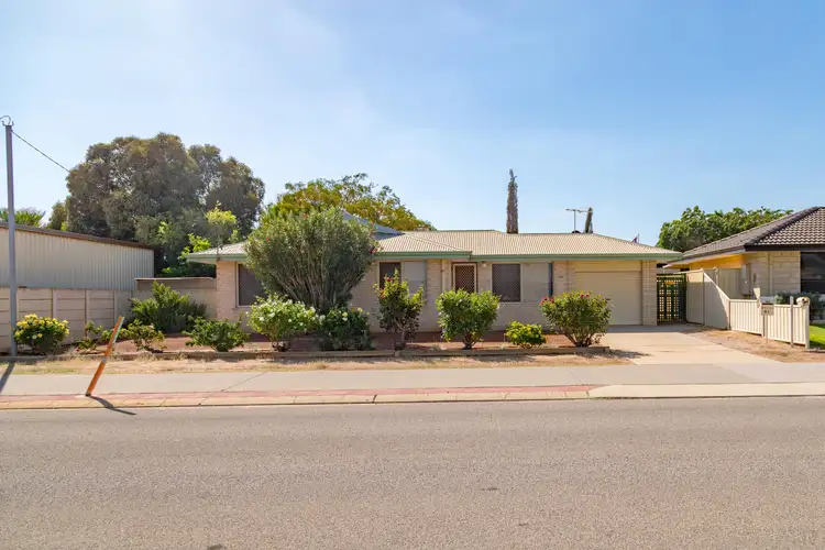 41A Crowtherton Street, Bluff Point WA 6530