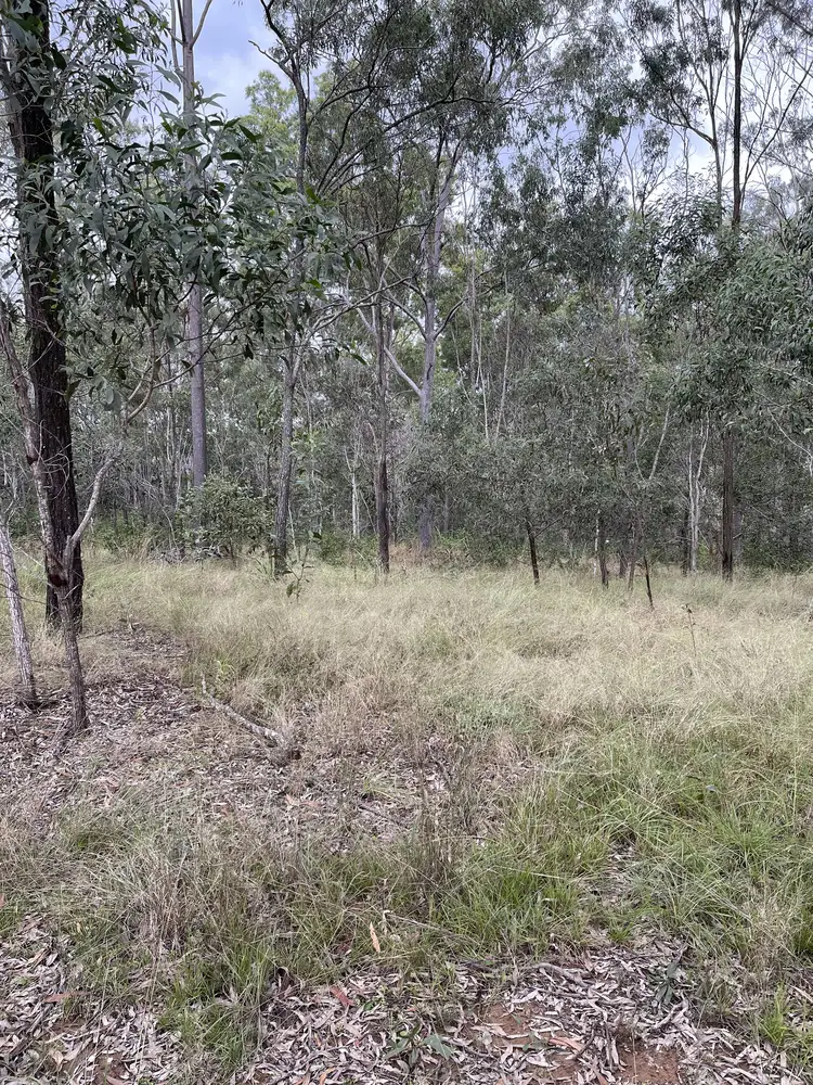 Fifth view of Homely rural property listing, 31 Aspen Drive, Esk QLD 4312