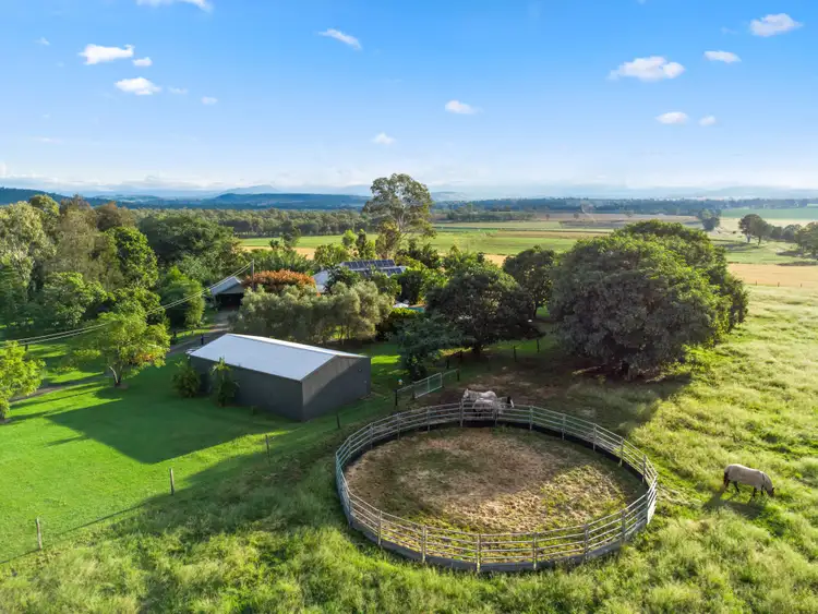 Third view of Homely rural property listing, 927 Munbilla Road, Munbilla QLD 4309