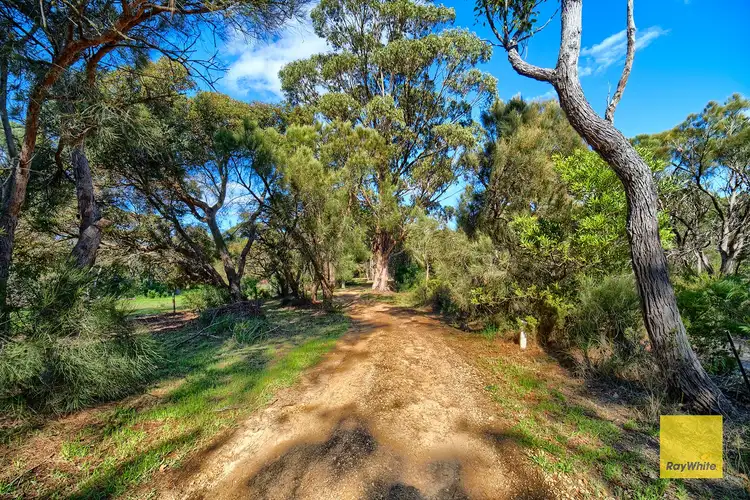Fourth view of Homely house listing, 117 Frederick Street, Gledhow WA 6330
