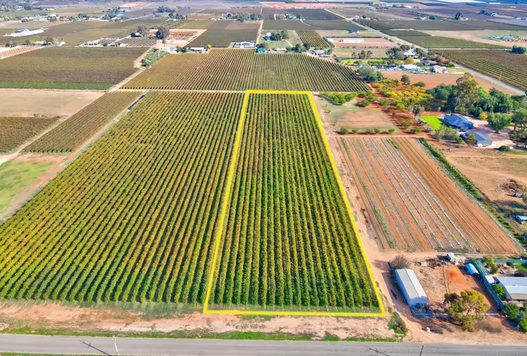 Main view of Homely land listing, Lot 462 Kulkyne Street, Renmark SA 5341