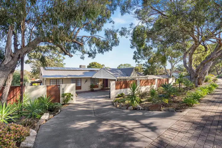 Main view of Homely house listing, 164 Black Road, Flagstaff Hill SA 5159