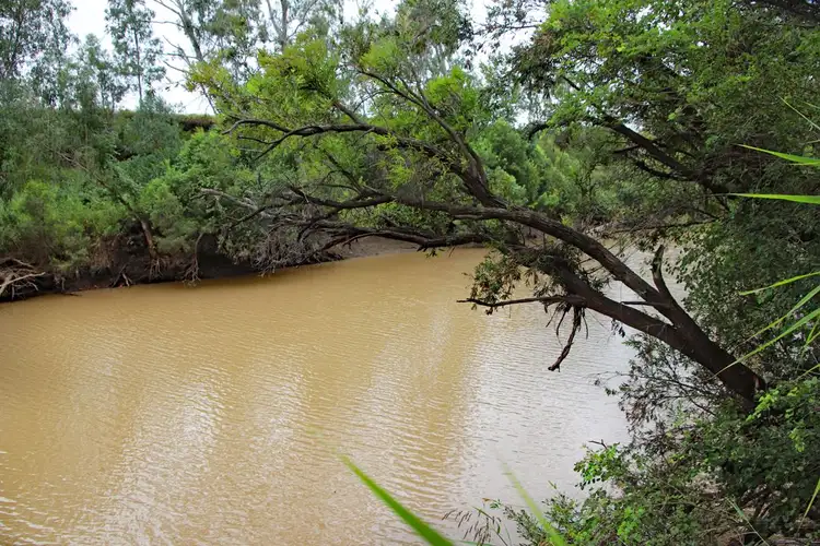 Third view of Homely rural property listing, Jalokada Tomlins Road, Dixalea QLD 4702