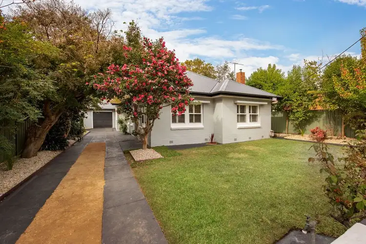 494 Schubach Street, East Albury NSW 2640
