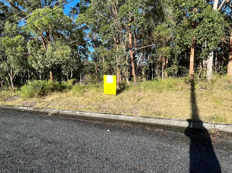 41 Curlew Crescent, Nerong NSW 2423
