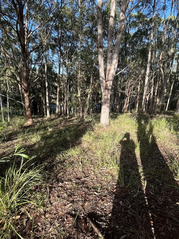 Third view of Homely land listing, 41 Curlew Crescent, Nerong NSW 2423