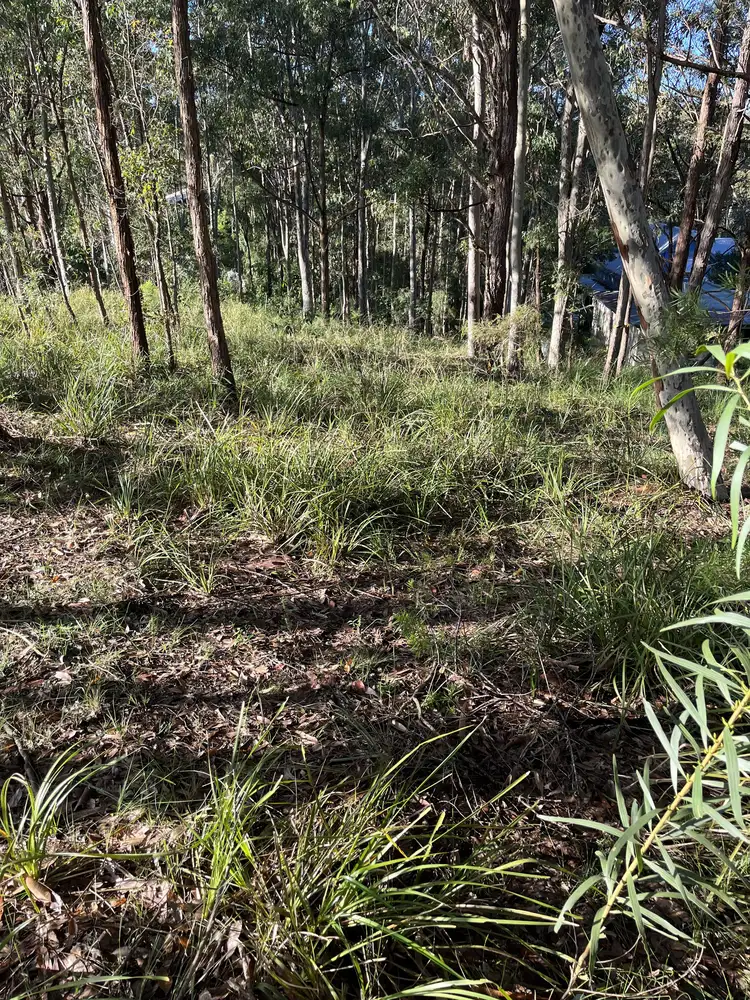 Fifth view of Homely land listing, 41 Curlew Crescent, Nerong NSW 2423