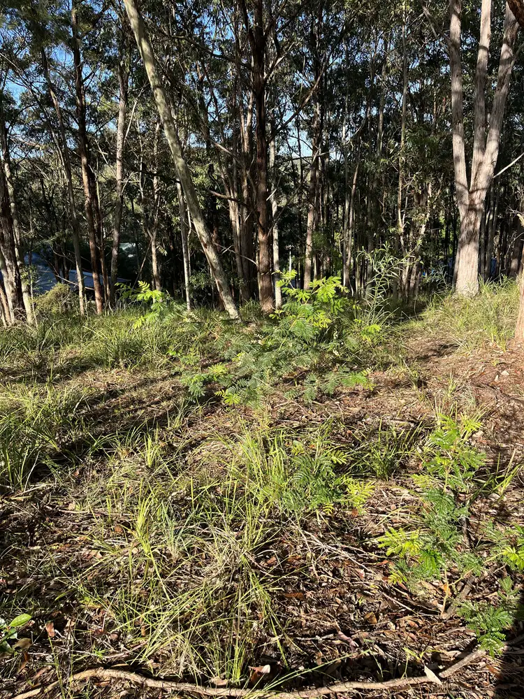 Seventh view of Homely land listing, 41 Curlew Crescent, Nerong NSW 2423