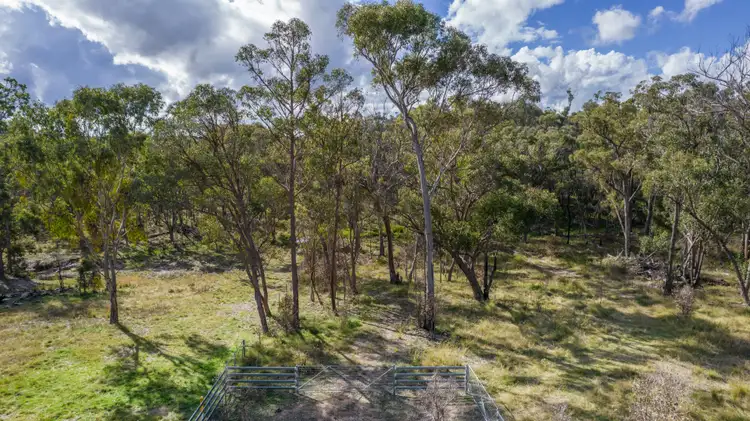 Second view of Homely rural property listing, 325 Mt Speribo Road, Bolivia NSW 2372