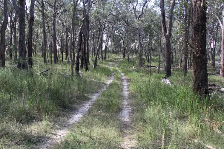 Third view of Homely rural property listing, 325 Mt Speribo Road, Bolivia NSW 2372