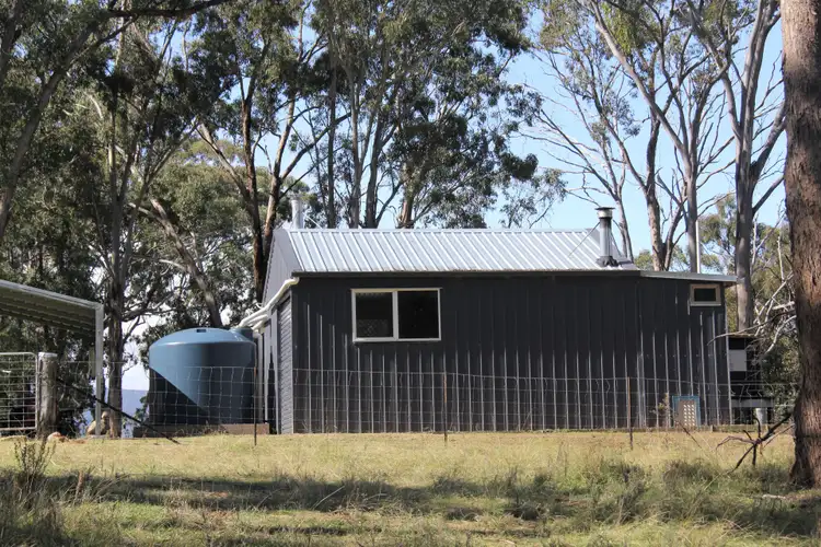 Fifth view of Homely rural property listing, 325 Mt Speribo Road, Bolivia NSW 2372