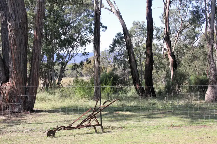 Sixth view of Homely rural property listing, 325 Mt Speribo Road, Bolivia NSW 2372