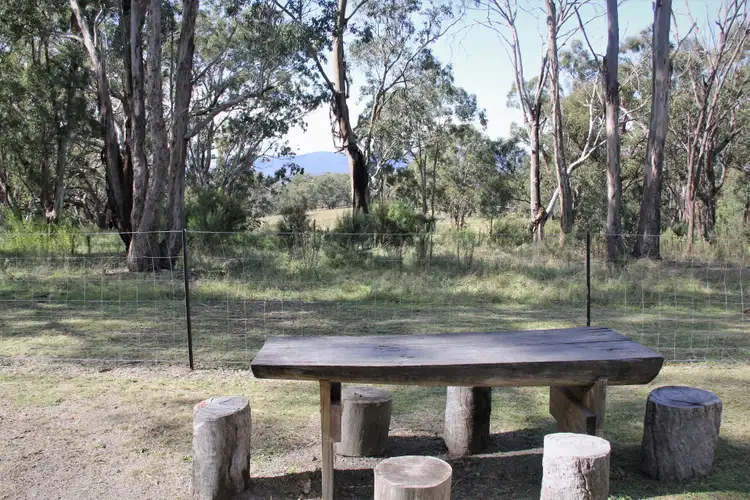 Seventh view of Homely rural property listing, 325 Mt Speribo Road, Bolivia NSW 2372