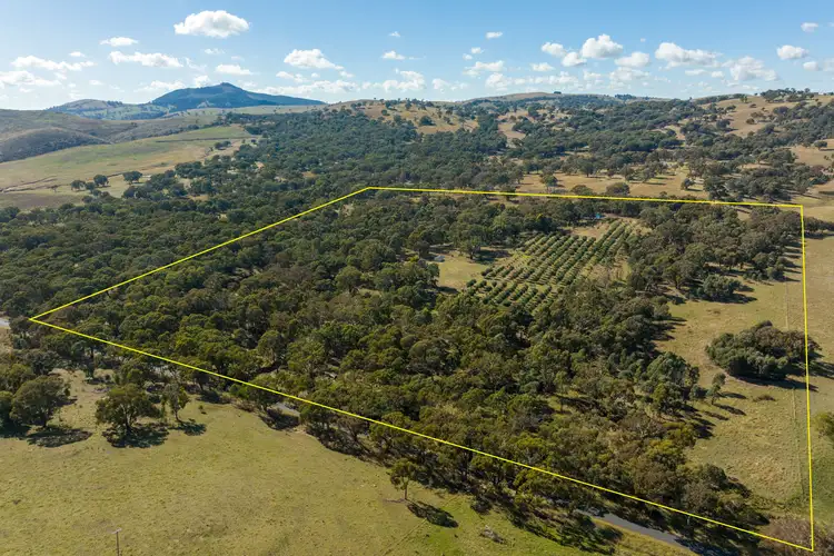 Main view of Homely rural property listing, 51 Gallymont Road, Mandurama NSW 2792