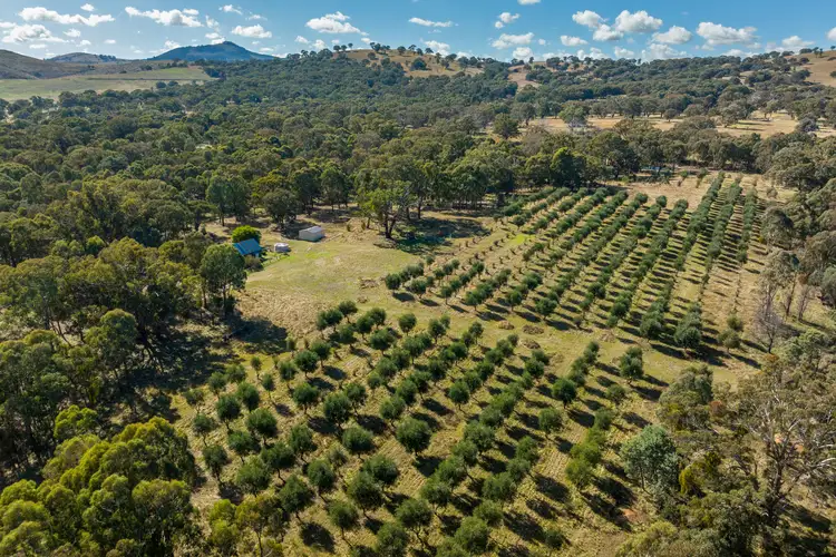 Second view of Homely rural property listing, 51 Gallymont Road, Mandurama NSW 2792