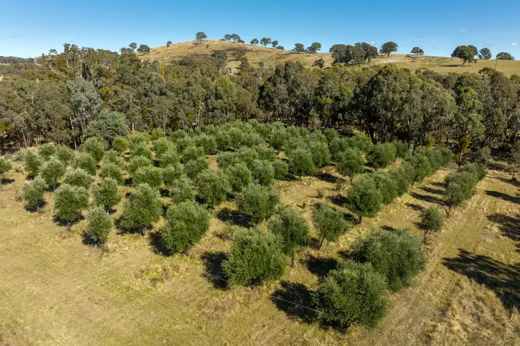 Third view of Homely rural property listing, 51 Gallymont Road, Mandurama NSW 2792
