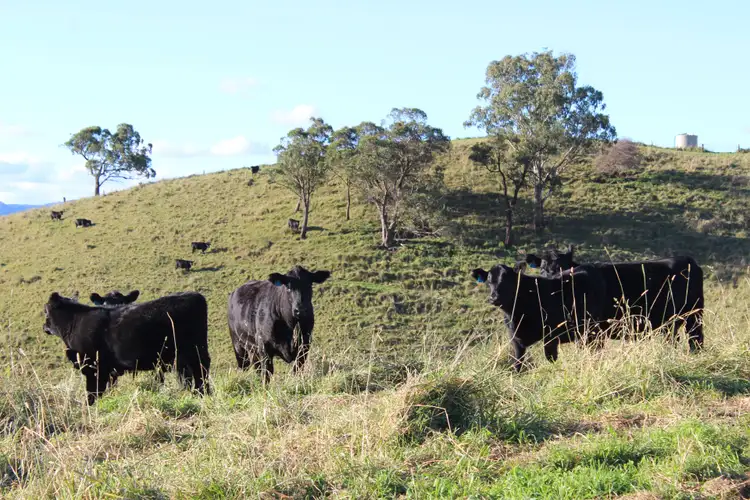 Second view of Homely rural property listing, 1051 Jenolan Caves Road, Good Forest NSW 2790