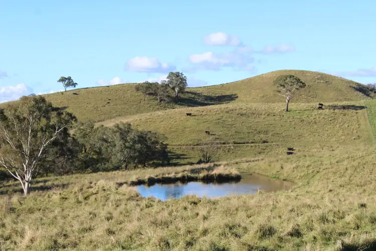 Fourth view of Homely rural property listing, 1051 Jenolan Caves Road, Good Forest NSW 2790