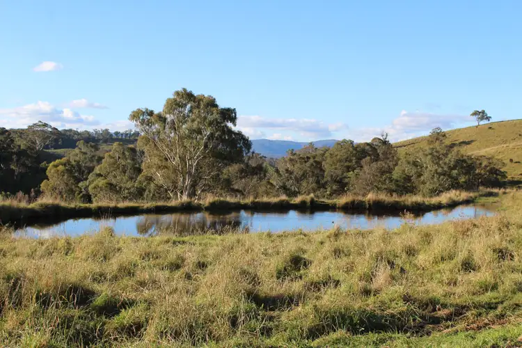 Fifth view of Homely rural property listing, 1051 Jenolan Caves Road, Good Forest NSW 2790