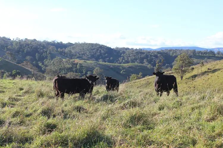 Sixth view of Homely rural property listing, 1051 Jenolan Caves Road, Good Forest NSW 2790