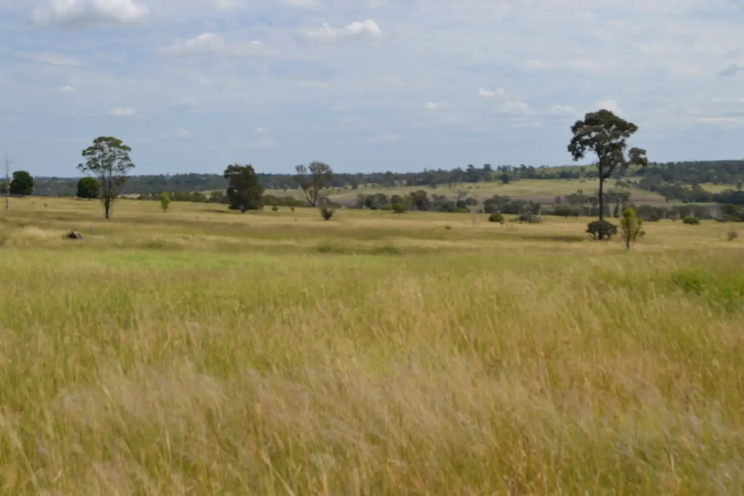 Main view of Homely rural property listing, 240 Peranga-Narko Road, Evergreen QLD 4352