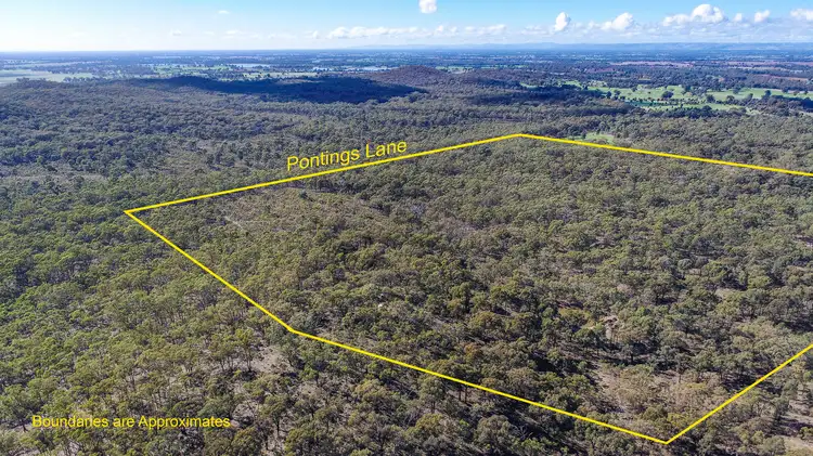 175 Pontings Lane, Bailieston VIC 3608