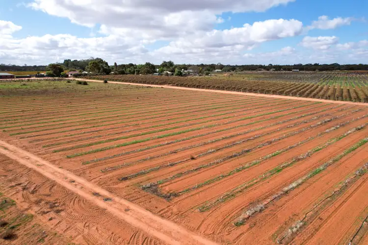 Third view of Homely land listing, 31 Rumball Road, Winkie SA 5343