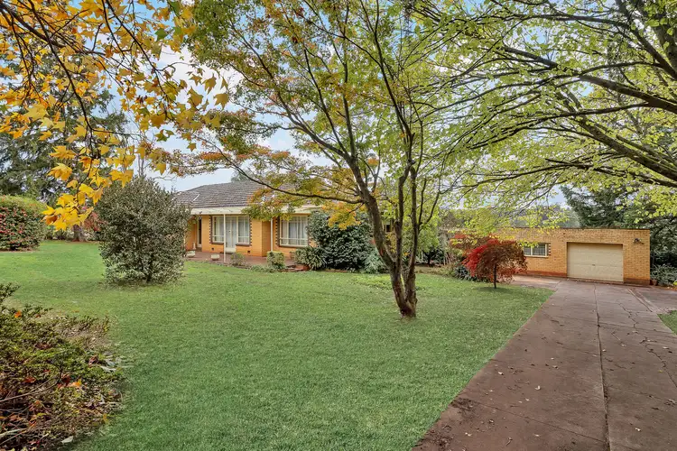 Second view of Homely house listing, 43 Parker Road, Wandin East VIC 3139